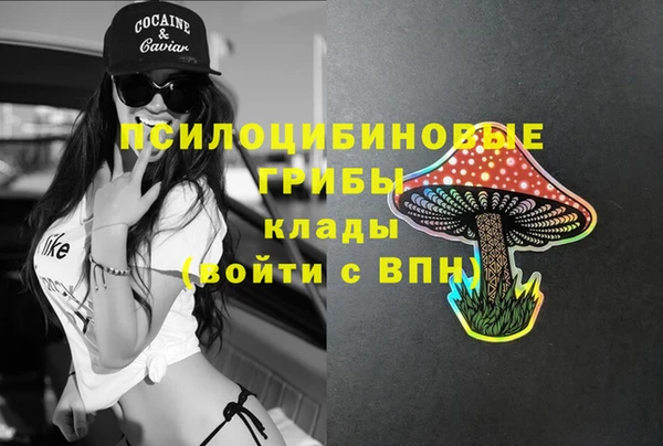 mdpv Лиски