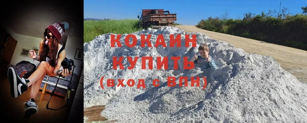 спиды Ладушкин