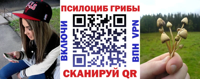 MEGA ссылка  Стерлитамак  Псилоцибиновые грибы мухоморы  где купить  