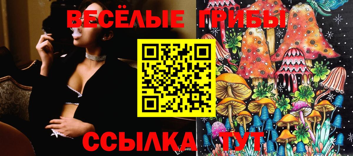 Псилоцибиновые грибы прущие грибы  Псилоцибиновые грибы MAGIC MUSHROOMS  что такое   Стерлитамак 