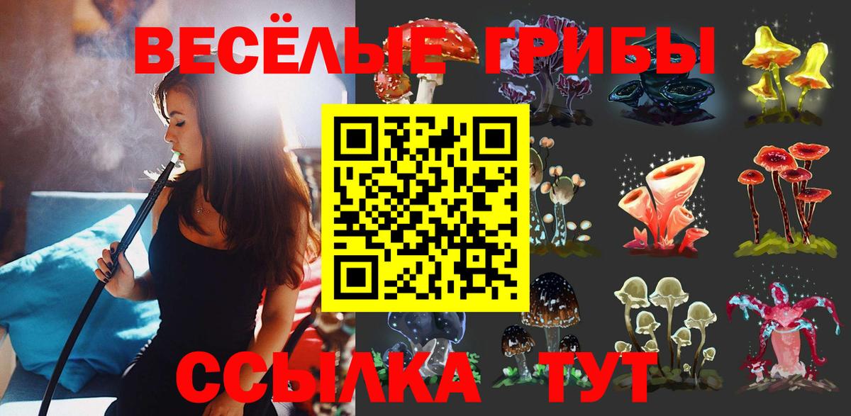 Галлюциногенные грибы GOLDEN TEACHER Стерлитамак