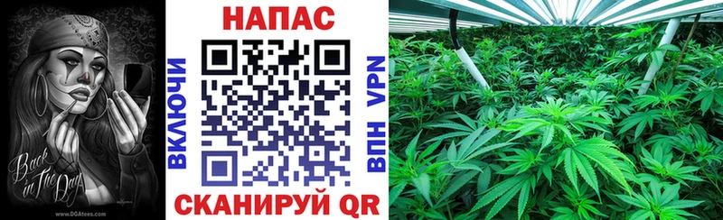 как найти закладки  Стерлитамак  гидра маркетплейс  Шишки марихуана ГИДРОПОН 